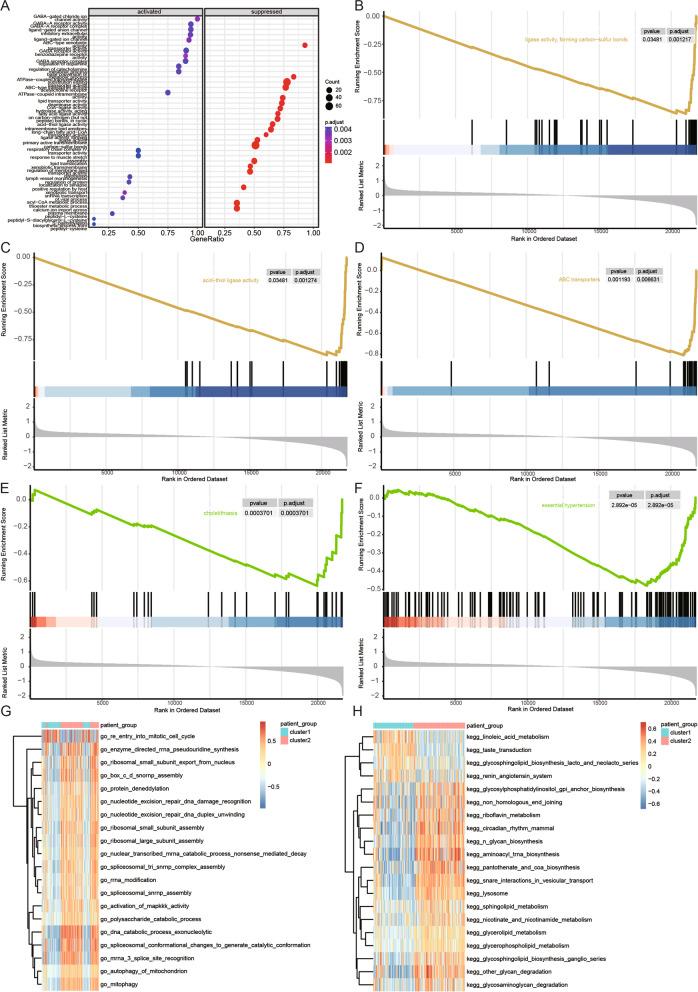 https://cdn.ncbi.nlm.nih.gov/pmc/blobs/daab/10131417/b53d15d700b5/12864_2023_9304_Fig7_HTML.jpg