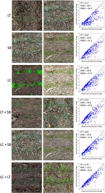 https://cdn.ncbi.nlm.nih.gov/pmc/blobs/daac/10202135/358e57f4812b/plantphenomics.0041.fig.005.jpg