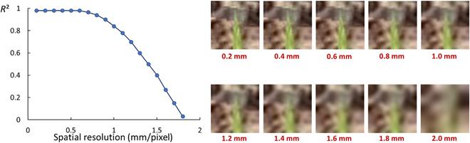 https://cdn.ncbi.nlm.nih.gov/pmc/blobs/daac/10202135/69b01a2ffba2/plantphenomics.0041.fig.006.jpg