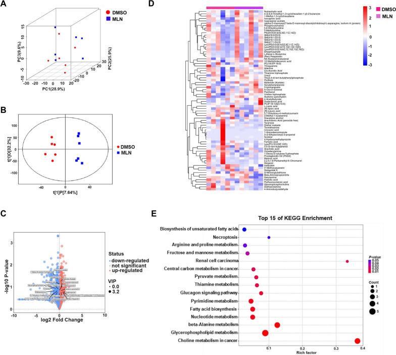 https://cdn.ncbi.nlm.nih.gov/pmc/blobs/daae/10916191/05d18af5065d/12864_2024_10118_Fig6_HTML.jpg
