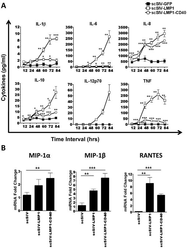 https://cdn.ncbi.nlm.nih.gov/pmc/blobs/daaf/3118346/645bacc643f8/1742-4690-8-39-4.jpg