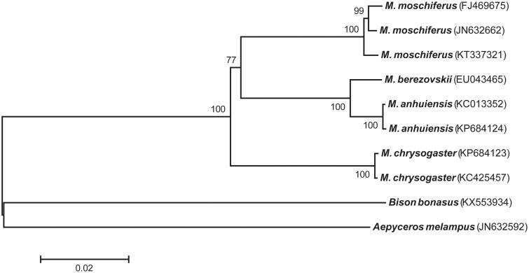 https://cdn.ncbi.nlm.nih.gov/pmc/blobs/dab3/7800829/2a11c4e10ac9/TMDN_A_1407715_F0001_B.jpg