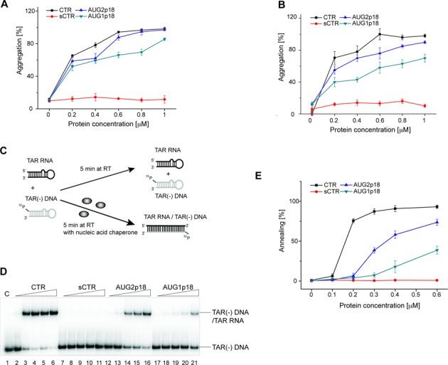 https://cdn.ncbi.nlm.nih.gov/pmc/blobs/dab4/4551931/2e327dfd1c89/gkv695fig4.jpg
