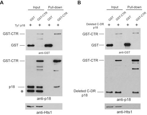 https://cdn.ncbi.nlm.nih.gov/pmc/blobs/dab4/4551931/5284f48a442a/gkv695fig7.jpg