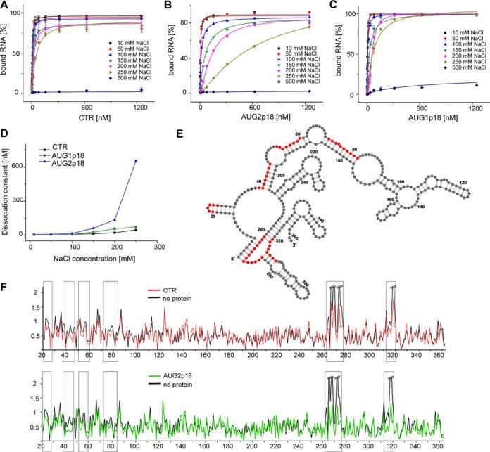 https://cdn.ncbi.nlm.nih.gov/pmc/blobs/dab4/4551931/dbe7fc537310/gkv695fig5.jpg