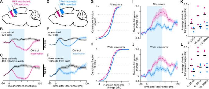 https://cdn.ncbi.nlm.nih.gov/pmc/blobs/dab7/12143879/3604ed9f77c1/elife-103069-fig3.jpg