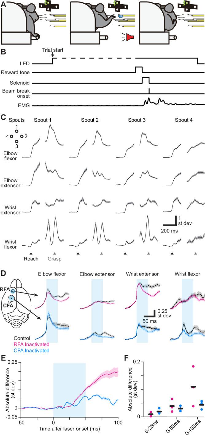 https://cdn.ncbi.nlm.nih.gov/pmc/blobs/dab7/12143879/aab10f5552d1/elife-103069-fig1.jpg