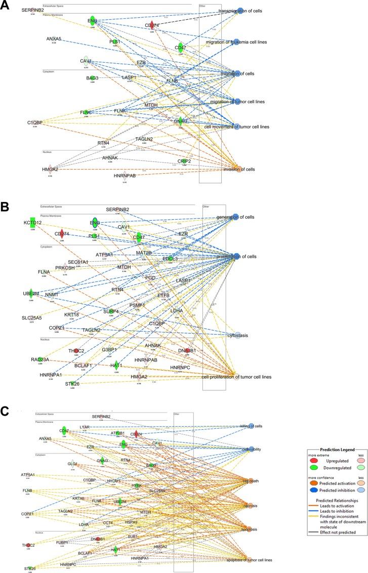 https://cdn.ncbi.nlm.nih.gov/pmc/blobs/dab7/5814278/28206e51357a/oncotarget-09-8016-g004.jpg