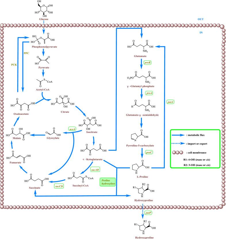 https://cdn.ncbi.nlm.nih.gov/pmc/blobs/dab9/8061225/8b5b2561a944/12934_2021_1579_Fig3_HTML.jpg