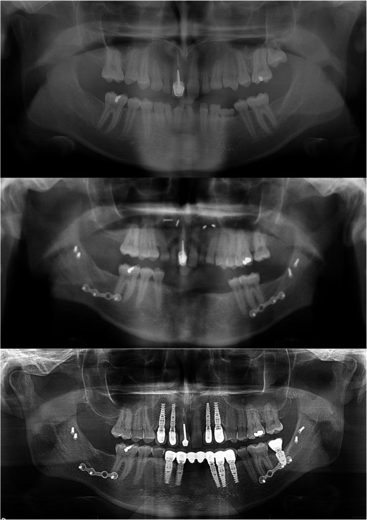 https://cdn.ncbi.nlm.nih.gov/pmc/blobs/dabb/11375859/95928d534b46/12903_2024_4827_Fig3_HTML.jpg