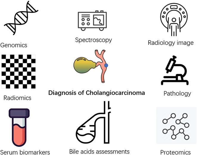 https://cdn.ncbi.nlm.nih.gov/pmc/blobs/dabe/10859478/4beb43fa7e85/fonc-14-1324222-g002.jpg
