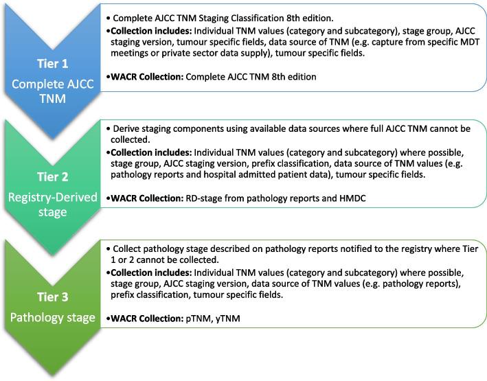 https://cdn.ncbi.nlm.nih.gov/pmc/blobs/dac0/11214229/e14d8a42e5a3/12913_2024_11224_Fig2_HTML.jpg