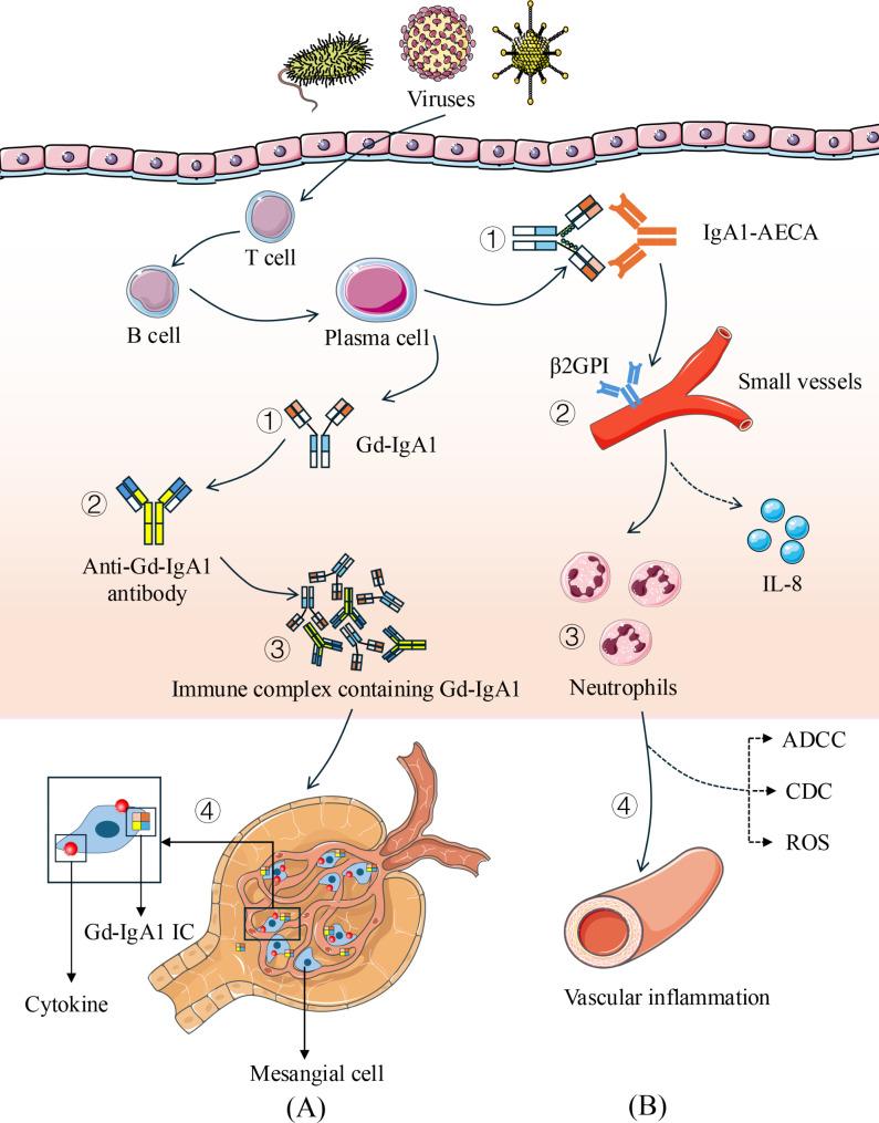 https://cdn.ncbi.nlm.nih.gov/pmc/blobs/dac0/11763152/fc13cce3c88d/12879_2025_10514_Fig3_HTML.jpg