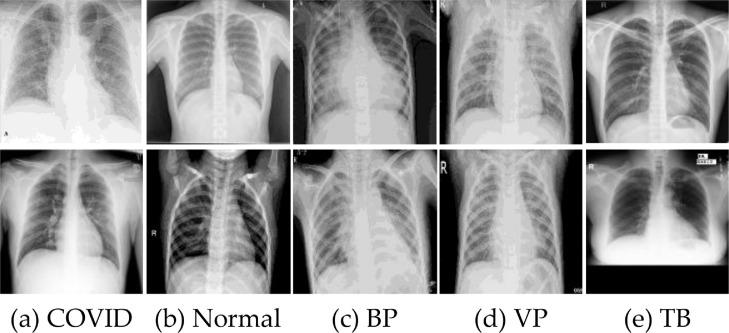 https://cdn.ncbi.nlm.nih.gov/pmc/blobs/dac0/9170279/cad3fa42b630/gr1_lrg.jpg