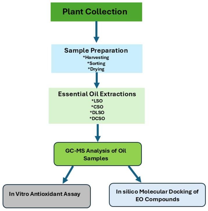 https://cdn.ncbi.nlm.nih.gov/pmc/blobs/dac6/12429610/87a5e6cabc90/ijms-26-08552-g006.jpg