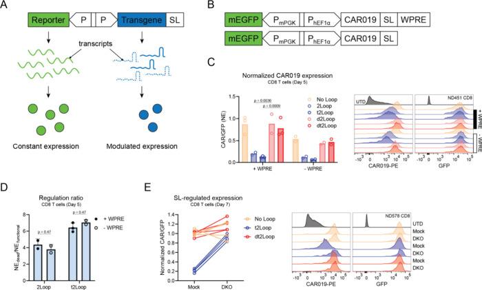 https://cdn.ncbi.nlm.nih.gov/pmc/blobs/dac8/11669162/29d4efbbff2b/sb4c00152_0002.jpg