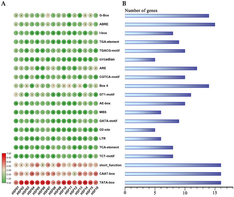 https://cdn.ncbi.nlm.nih.gov/pmc/blobs/dac8/9609925/8ceb50d84f9d/plants-11-02763-g008.jpg