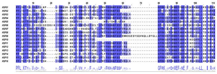 https://cdn.ncbi.nlm.nih.gov/pmc/blobs/dac8/9609925/d27c24d0a865/plants-11-02763-g002.jpg