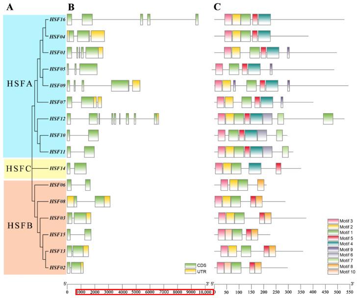 https://cdn.ncbi.nlm.nih.gov/pmc/blobs/dac8/9609925/f0bb3ec47f4d/plants-11-02763-g004.jpg