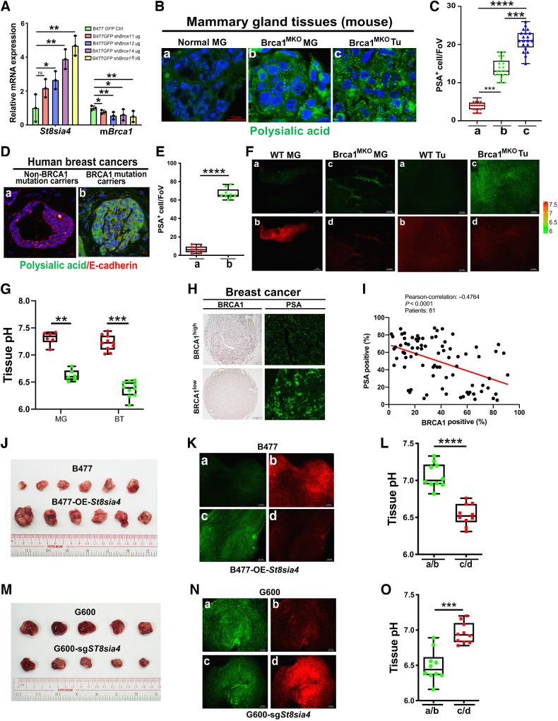 https://cdn.ncbi.nlm.nih.gov/pmc/blobs/dac9/10391349/bded855c3dce/2614fig2.jpg