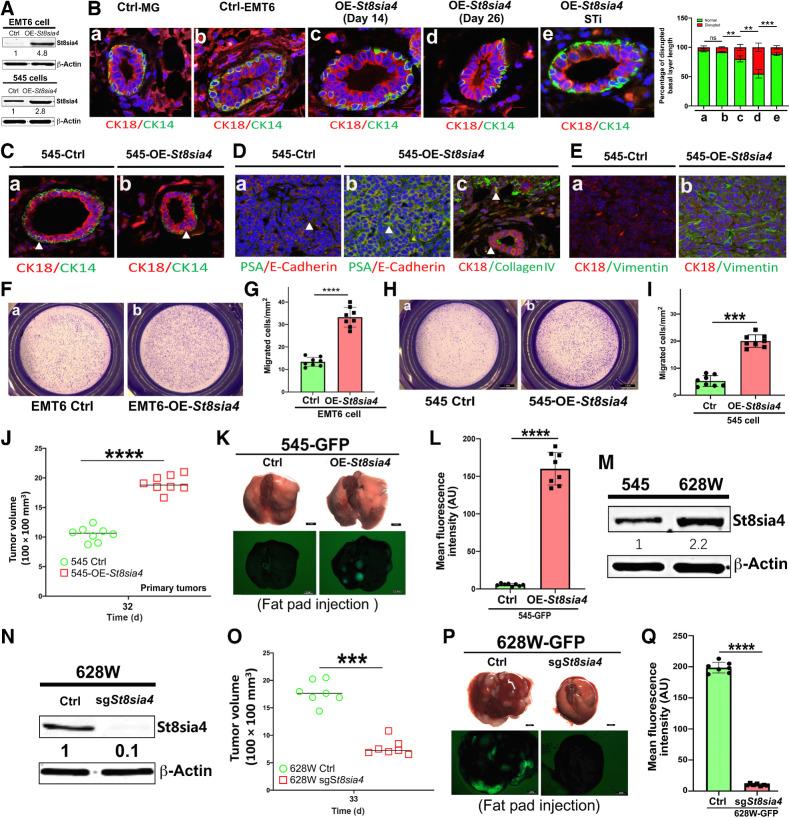 https://cdn.ncbi.nlm.nih.gov/pmc/blobs/dac9/10391349/fb5065606acb/2614fig3.jpg
