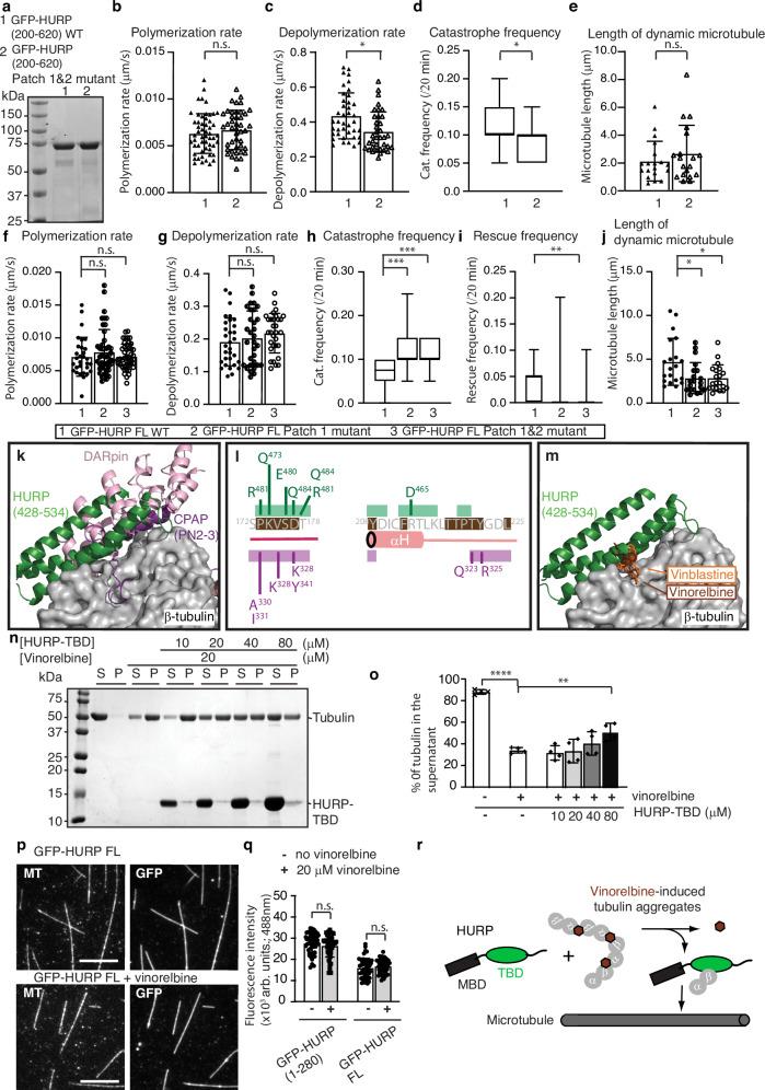 https://cdn.ncbi.nlm.nih.gov/pmc/blobs/dac9/11471760/3b83a6b0b869/41467_2024_53139_Fig5_HTML.jpg