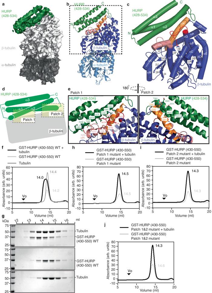 https://cdn.ncbi.nlm.nih.gov/pmc/blobs/dac9/11471760/6c24058a05b5/41467_2024_53139_Fig4_HTML.jpg