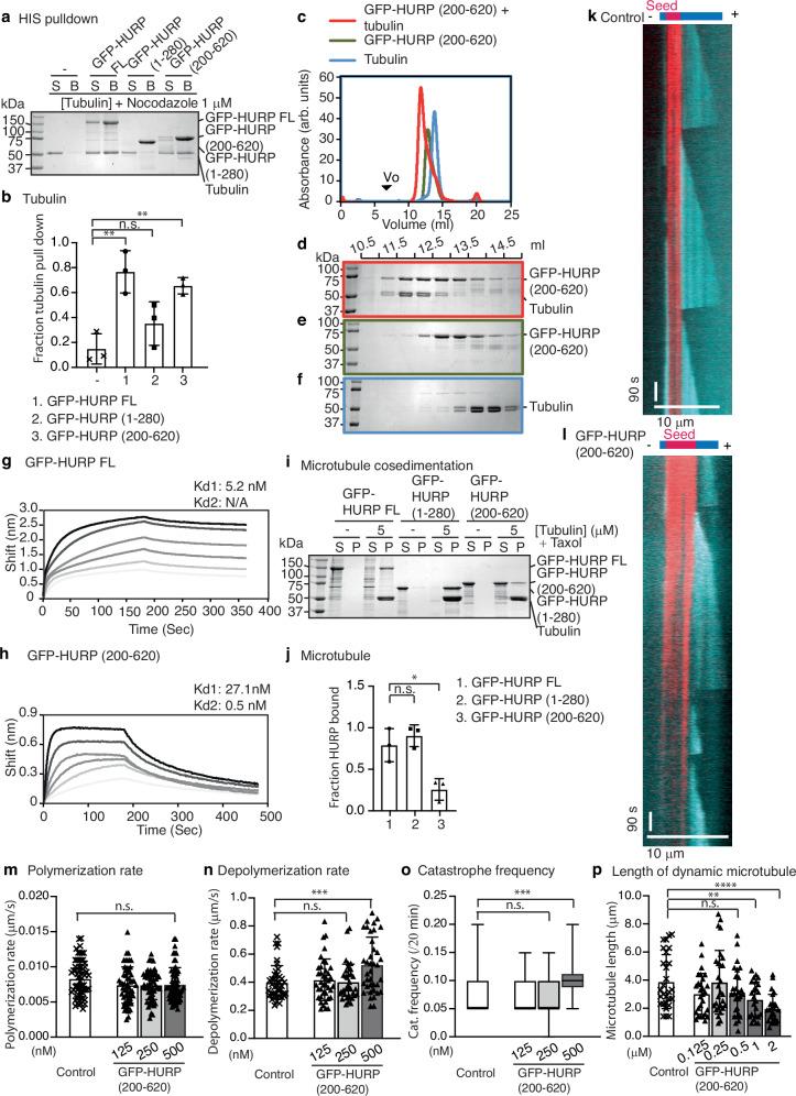 https://cdn.ncbi.nlm.nih.gov/pmc/blobs/dac9/11471760/8a603378d519/41467_2024_53139_Fig2_HTML.jpg