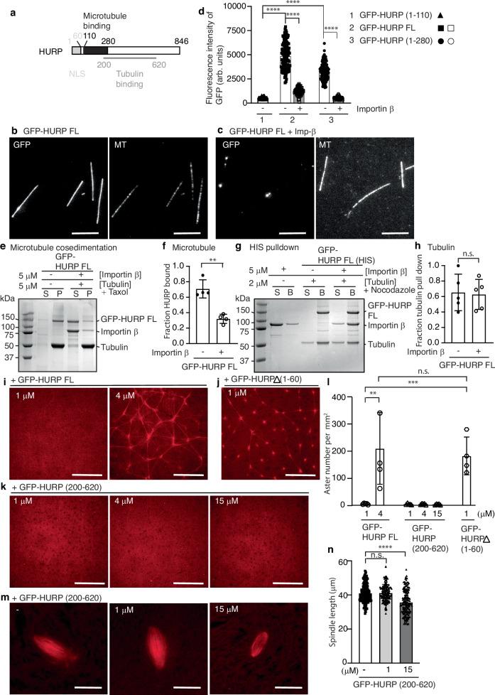 https://cdn.ncbi.nlm.nih.gov/pmc/blobs/dac9/11471760/9ddd25189808/41467_2024_53139_Fig3_HTML.jpg