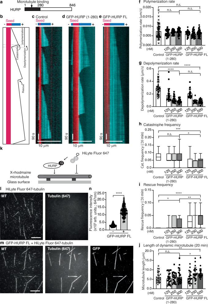 https://cdn.ncbi.nlm.nih.gov/pmc/blobs/dac9/11471760/aeb3e5e14d19/41467_2024_53139_Fig1_HTML.jpg