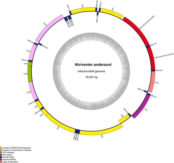 https://cdn.ncbi.nlm.nih.gov/pmc/blobs/dac9/8890005/70237971dc09/ECE3-12-e8663-g005.jpg