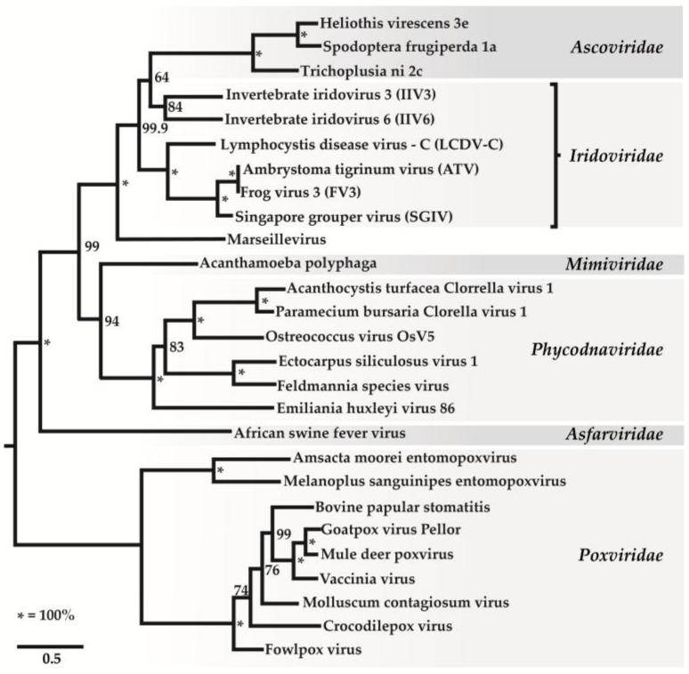 https://cdn.ncbi.nlm.nih.gov/pmc/blobs/daca/5923455/0875865dfc1a/viruses-10-00161-g001.jpg
