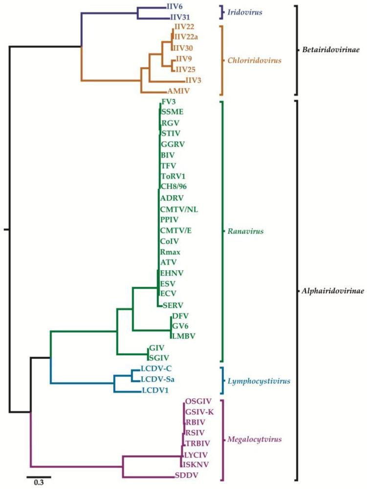 https://cdn.ncbi.nlm.nih.gov/pmc/blobs/daca/5923455/0c39ae07f9a4/viruses-10-00161-g002.jpg