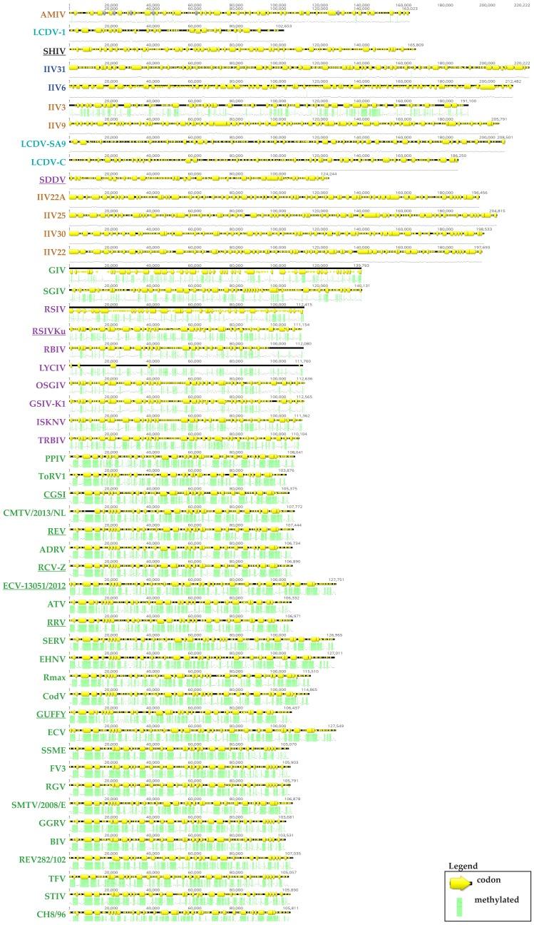 https://cdn.ncbi.nlm.nih.gov/pmc/blobs/daca/5923455/c2c2ca84d0b8/viruses-10-00161-g005.jpg
