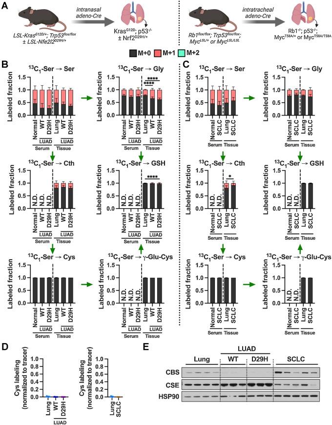 https://cdn.ncbi.nlm.nih.gov/pmc/blobs/dacd/10152234/37d2763ad667/1426fig5.jpg