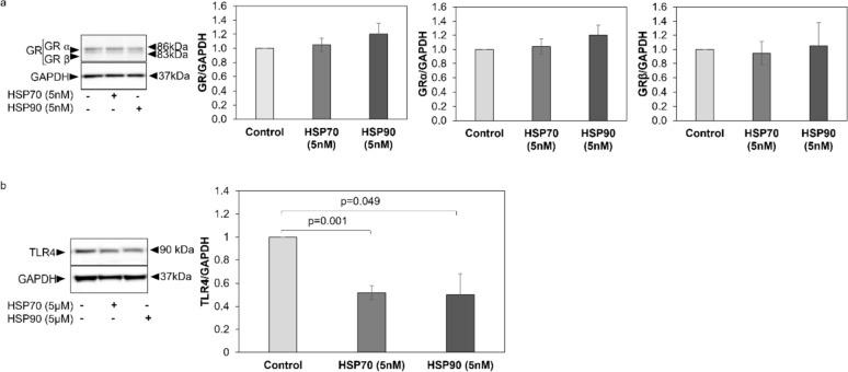 https://cdn.ncbi.nlm.nih.gov/pmc/blobs/dace/11143057/47d85bcfe97d/408_2024_680_Fig5_HTML.jpg