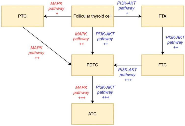 https://cdn.ncbi.nlm.nih.gov/pmc/blobs/dace/12427551/b0613e69d2b8/cancers-17-02869-g004.jpg