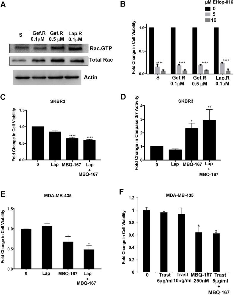 https://cdn.ncbi.nlm.nih.gov/pmc/blobs/dacf/8170972/5f8d5f483916/12885_2021_8366_Fig6_HTML.jpg