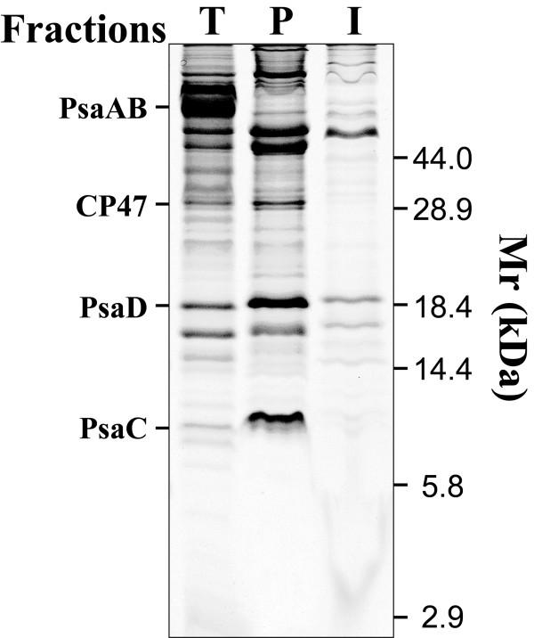 https://cdn.ncbi.nlm.nih.gov/pmc/blobs/dad1/2666656/451a10ec541d/1477-5956-7-11-1.jpg