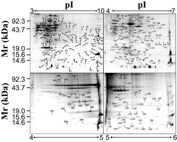 https://cdn.ncbi.nlm.nih.gov/pmc/blobs/dad1/2666656/608716ea2196/1477-5956-7-11-2.jpg
