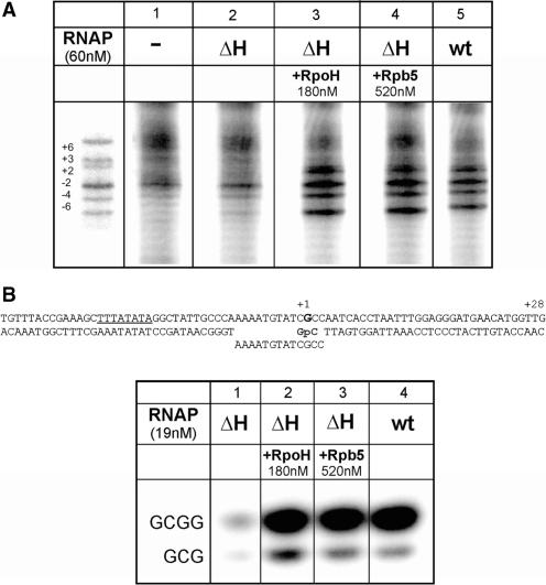 https://cdn.ncbi.nlm.nih.gov/pmc/blobs/dad1/2847245/08b3f8b09ccc/gkp1190f3.jpg