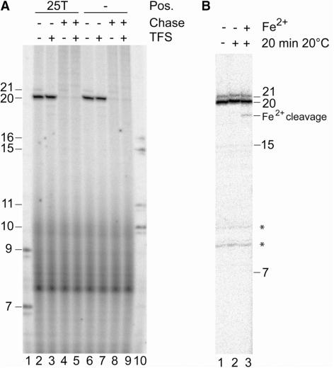https://cdn.ncbi.nlm.nih.gov/pmc/blobs/dad1/2847245/ba36ea293bb7/gkp1190f5.jpg