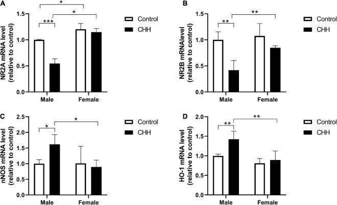 https://cdn.ncbi.nlm.nih.gov/pmc/blobs/dad3/9393425/77322850a549/fnins-16-953417-g010.jpg