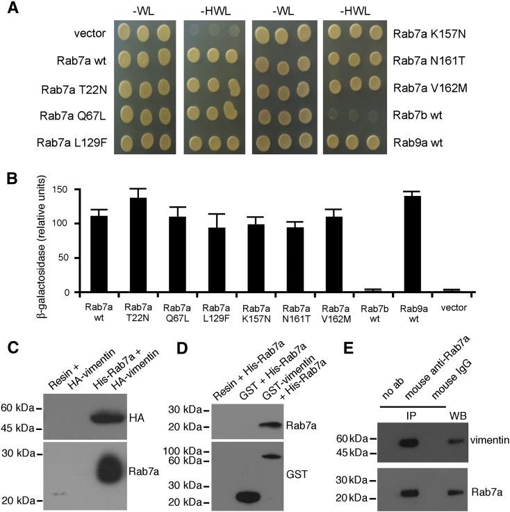 https://cdn.ncbi.nlm.nih.gov/pmc/blobs/dad4/3787733/2ddf6d8a0826/gr1.jpg