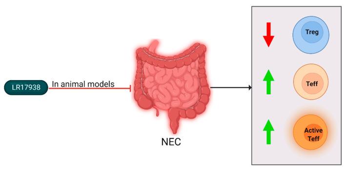 https://cdn.ncbi.nlm.nih.gov/pmc/blobs/dad4/9504949/79175e1de04c/ijms-23-10903-g005.jpg