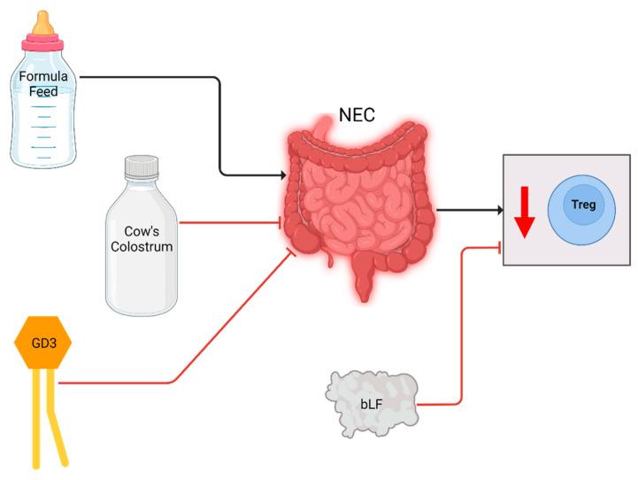 https://cdn.ncbi.nlm.nih.gov/pmc/blobs/dad4/9504949/d57cc8fc9e25/ijms-23-10903-g004.jpg