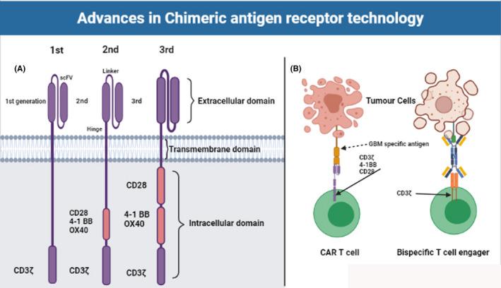 https://cdn.ncbi.nlm.nih.gov/pmc/blobs/dad8/8335808/6a46ed9015e6/CAM4-10-5019-g003.jpg