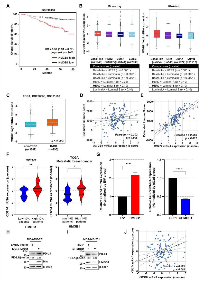 https://cdn.ncbi.nlm.nih.gov/pmc/blobs/dada/12090602/013662d04351/10020_2025_1235_Fig1_HTML.jpg