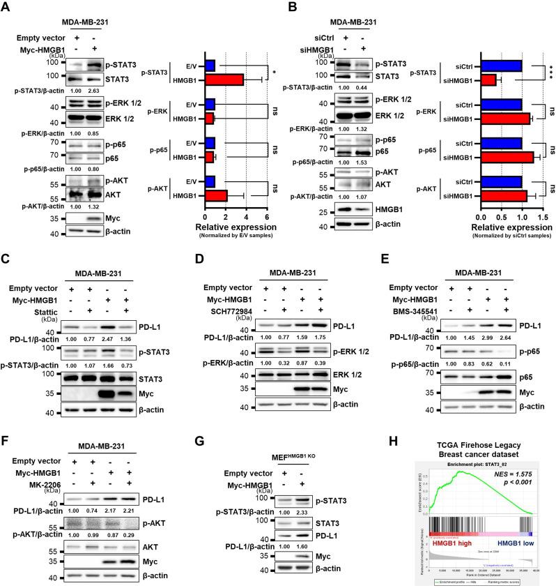 https://cdn.ncbi.nlm.nih.gov/pmc/blobs/dada/12090602/08e529c81892/10020_2025_1235_Fig2_HTML.jpg