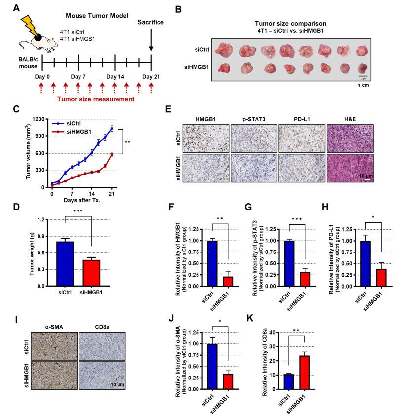https://cdn.ncbi.nlm.nih.gov/pmc/blobs/dada/12090602/459a374b7df9/10020_2025_1235_Fig6_HTML.jpg